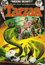 TARZAN #225 (1973) 8.5 (VF+)