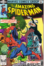 AMAZING SPIDER-MAN #204 (1980) 8.0 (VF)